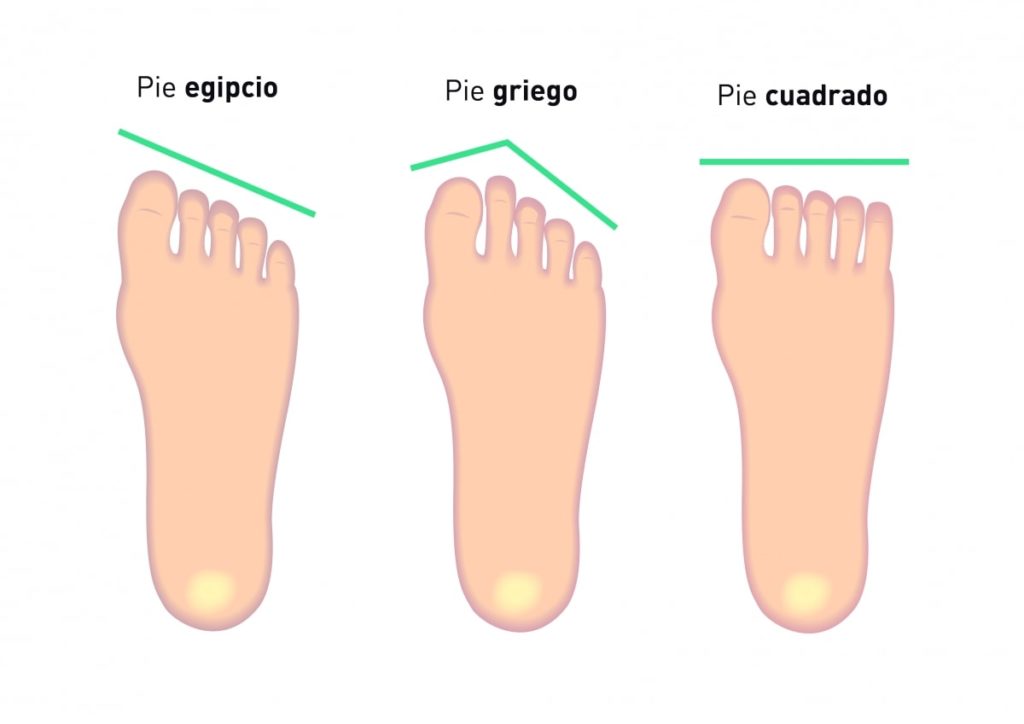 pie griego, pie cuadrado, pie egipcio